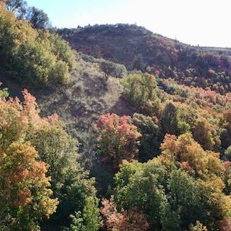 TBD McPherson Canyon Rd, Grace, ID 83241