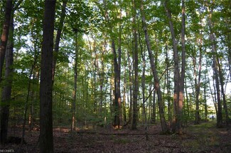 10619 Newell Ledge Rd, Garrettsville, OH 44231