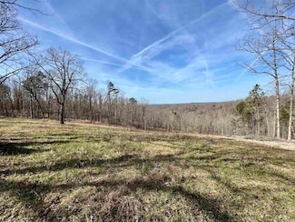 Tract 5 Ramblewood Trail, Yellville, AR 72687
