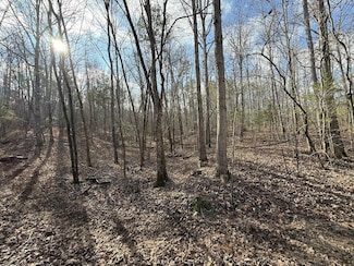 000 Ottofy Way, Eminence, MO 65466