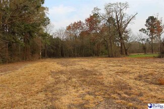 tbd 15.9 acres S Carolina 57, Dillon, SC 29536