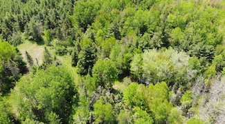 TBD 1 Larson Rd, Bruce Crossing, MI 49912