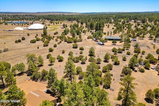 2821 Kelton Cir, Overgaard, AZ 85933