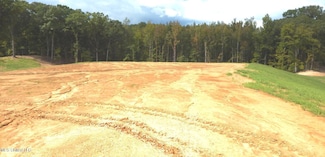 205 Hugh White State Park Rd, Grenada, MS 38901