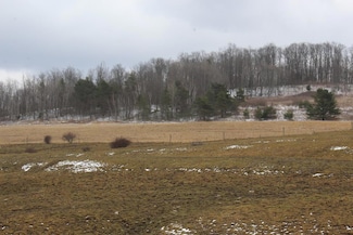 00 Stony Fork Rd, Wellsboro, PA 16901