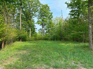 10-11 W Jefferson Ave Unit 10-11, Suttons Bay, MI 49682