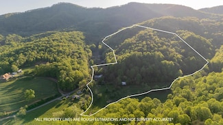 464 Lakeview Dr, Cana, VA 24317