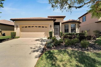 147 Silver Falls Dr, Apollo Beach, FL 33572