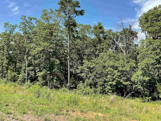 TBD Highway 65, Clinton, AR 72031