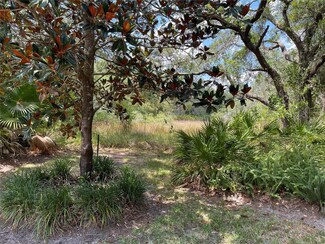 0 Capps Rd Unit MFRB4901495, Lake Wales, FL 33898