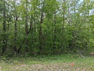 Lot 231 Country Club Dr, Lakes of the North, MI 49659