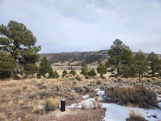 TBD Conejos River Trail, Antonito, CO 81120