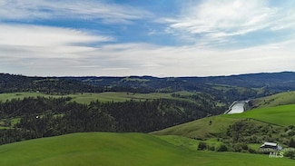 TBD Sunnyside Bench Rd, Lenore, ID 83541