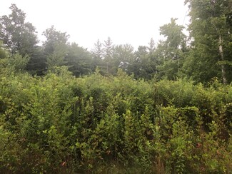 0 Mountain Preserve Ct Unit 1125023, Crab Orchard, TN 37723