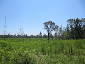 0 Old Hwy 49 Unit LotWP002 14874577, Seminary, MS 39479