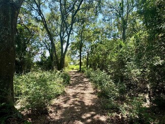 00000 Chapel Ln, Prairie View, TX 77445