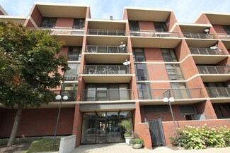 3041 S Michigan Ave Unit 302, Chicago, IL 60616