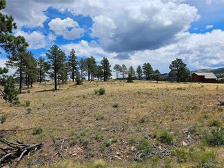440 Rickel Cir, South Fork, CO 81154