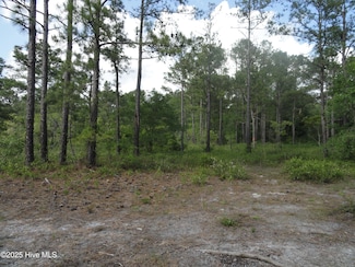 1 River Trail, Burgaw, NC 28425