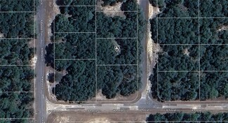 7120 N Veronica Dr, Citrus Springs, FL 34433