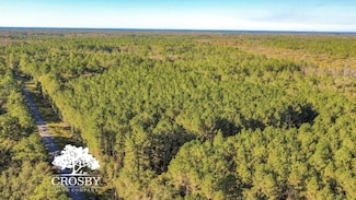 Tbd Possum Point Rd, Townsend, GA 31331