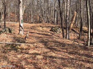 111 Lake View Cir, Hawley, PA 18428