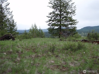 0 Edgewood Ln, Curlew, WA 99118