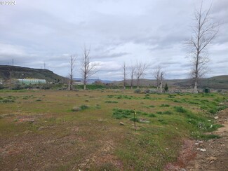 1410 Fish Camp Rd, Maupin, OR 97037