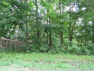 lots 14/14b N Finlandia Way, York Township, IN 46701