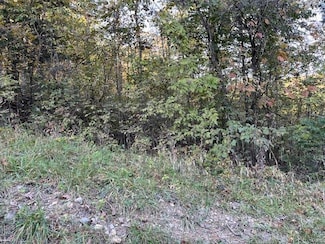 75 N Skyline Dr, New Florence, MO 63363