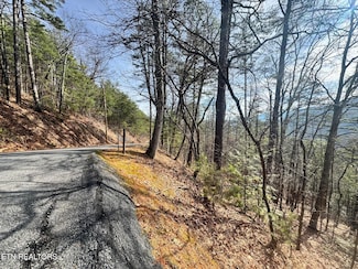 0 Overholt Trail Unit 1289790, Sevierville, TN 37862