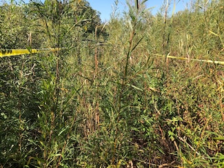 14 Alexandra Dr, Mettawa, IL 60048