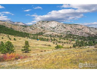 491 Snow Top Dr, Drake, CO 80515