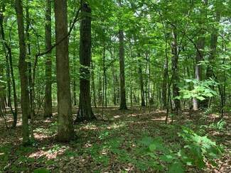 0 7 37ac Peninsula Trail Unit 22038514, New Florence, MO 63363