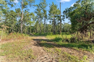 Tract Y1A1A1A5 Nesom Rd, Clinton, LA 70722