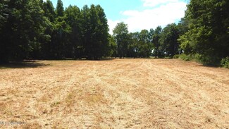 4400 N Fogg Rd, Nesbit, MS 38651