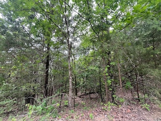 838 Marlin St, Swan Township, MO 65680