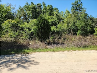 2405 Wilson St, Inverness, FL 34453
