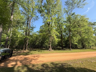 0 Ford Rd, Coffeeville, AL 36524