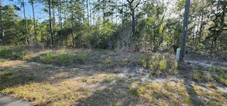 Lots 6 and 7 Hillcrest Ave, Rainbow Lakes Estates, FL 34431