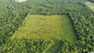 TBD Oak Log Lake Rd, Conway, SC 29526