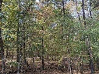 5 Darro Way, Hot Springs Village, AR 71909