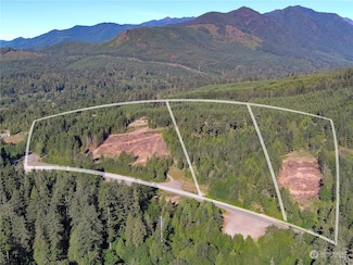 2 XXXX Mount Jupiter Rd, Brinnon, WA 98320