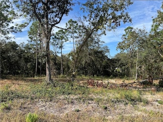 1604 S Rock Crusher Rd, Homosassa, FL 34448