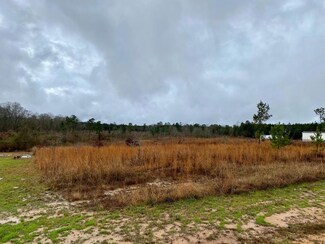 1311 Cowboy Trail SW, Bogue Chitto, MS 39629