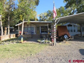 51 Colorado Ln, South Fork, CO 81154