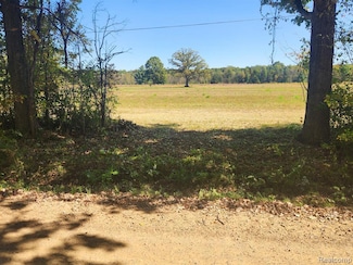 Vacant Land Skelton Rd, Deerfield Township, MI 48421