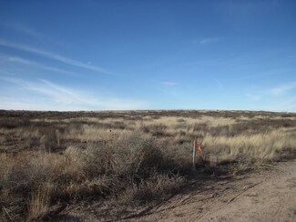 6 Mesa Dr, McIntosh, NM 87035