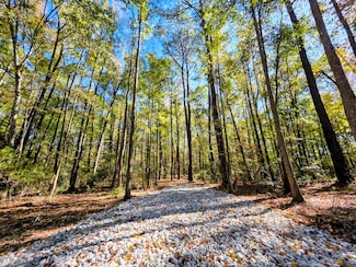 3047 Fickling Hill Rd Unit C-1, Johns Island, SC 29455