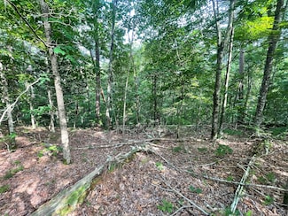 88 Muslin Dr NE, Ranger, GA 30734